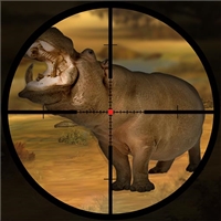 play Classical Hippo Hunting Game